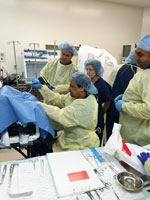 Faculty Cadaver Lab and Didactic - Boston Scientific